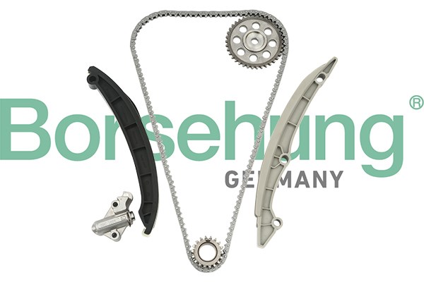 Комплект цепи B18824 BORSEHUNG
