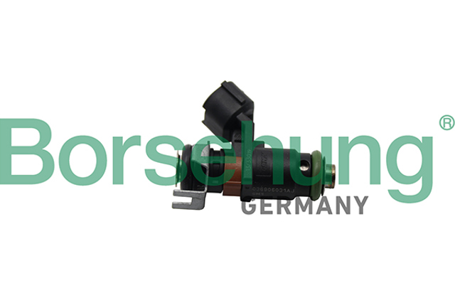 Топливные форсунки B19238 BORSEHUNG