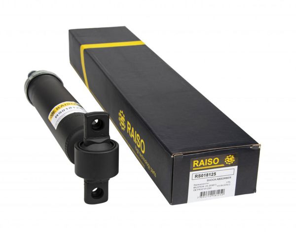 Подвеска амортизатора/аморт. стойки RS018125 RAISO