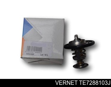 TE7288103J VERNET Термостат купить в Харьков