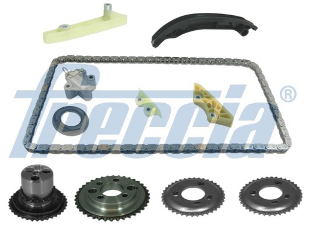 Комплект цепи TK081076 FRECCIA