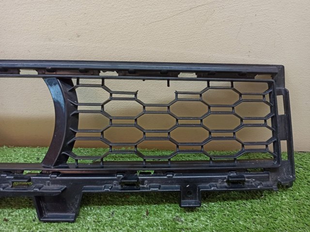 51118069211 BMW Решетка бампера переднего центральная купить в Кривой Рог