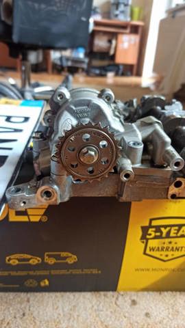 JAGUAR C2Z20573 Цепь промежуточного вала в наличии Киев