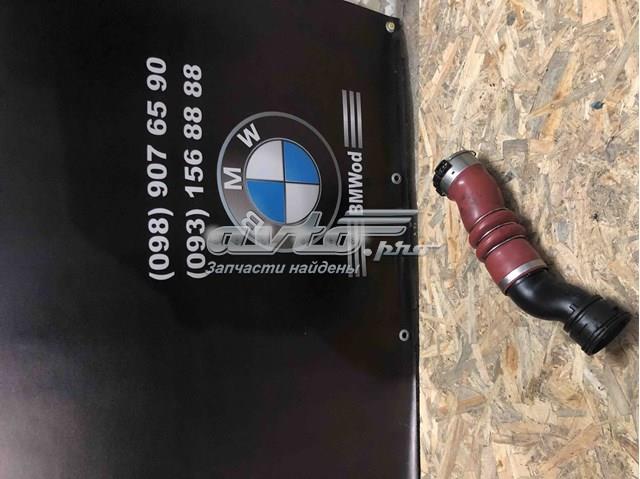 13717583728 BMW Шланг (патрубок) интеркуллера купить в Одесса
