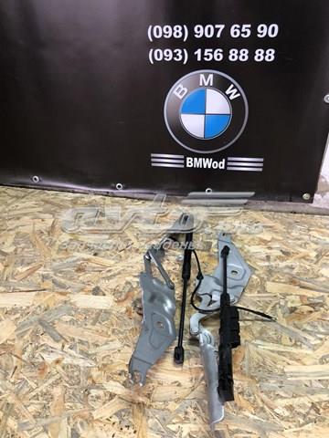 41007198617 BMW Петля капота левая купить в Ужгород