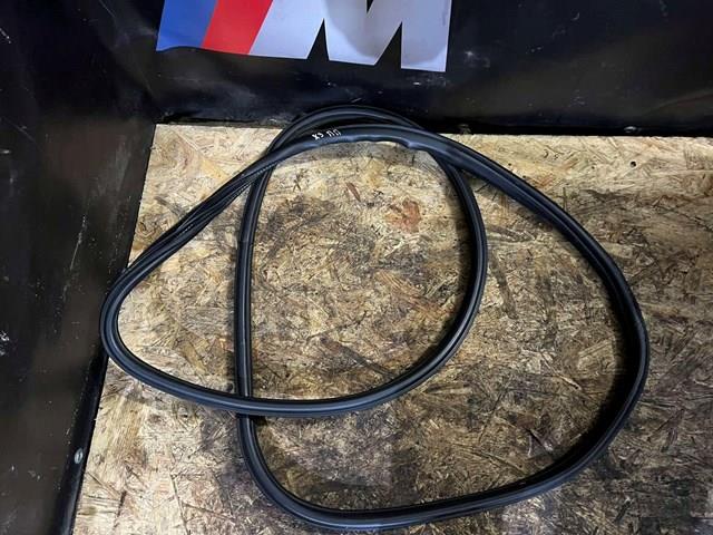 Уплотнитель двери передней, на (кузове) 51337300242 BMW
