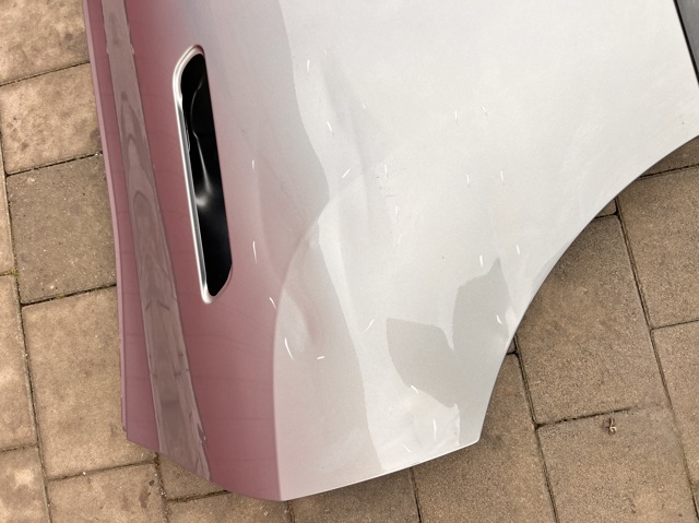 41009880294 BMW Дверь задняя правая купить в Чернигов