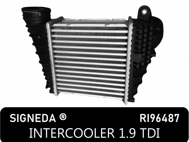 Интеркулер RI96487 SIGNEDA
