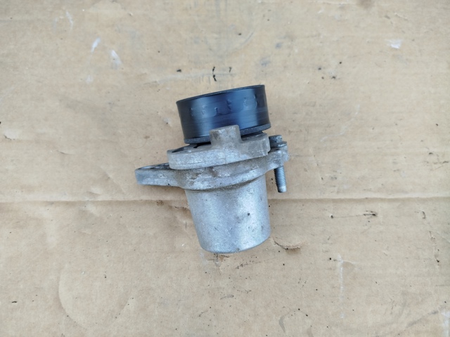 Натяжная планка поликлинового ремня 117505337R NISSAN