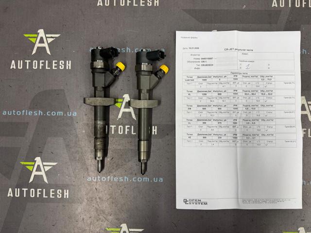 Клапанная форсунка 0445110087 RENAULT