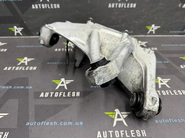 104441100G Tesla Model Цапфа (поворотный кулак) задний левый купить в Киев