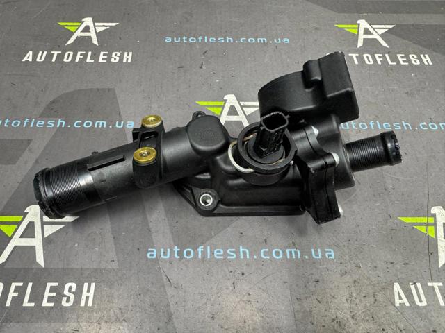 RENAULT 110609813R Корпус термостата в наличии Черновцы