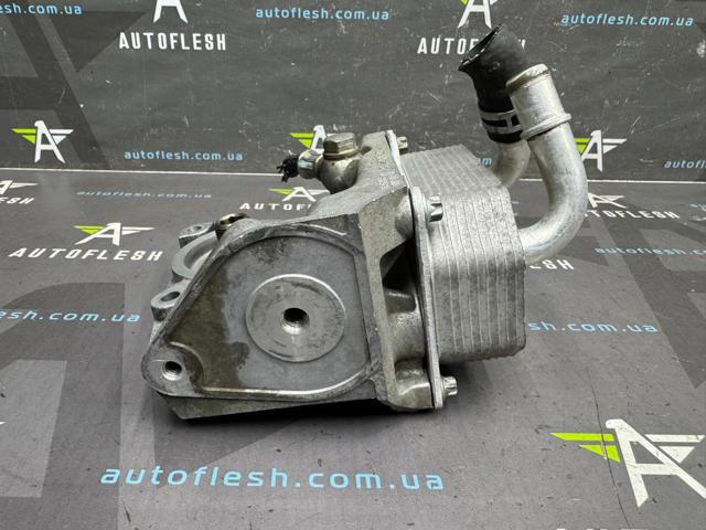 FORD 1385380 Радиатор масляный в наличии Днепр