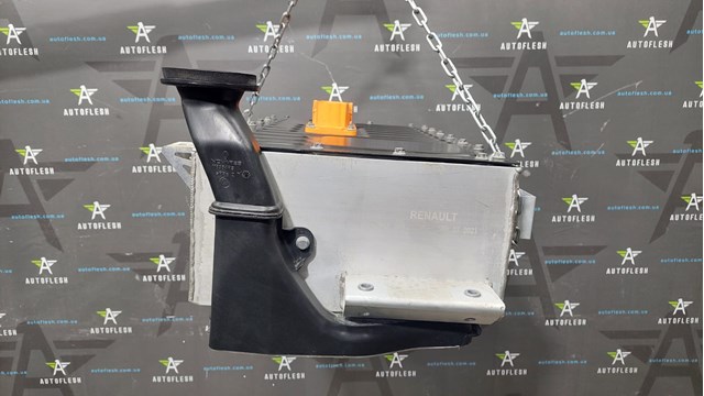 RENAULT 295F03455R в наличии Кривой Рог