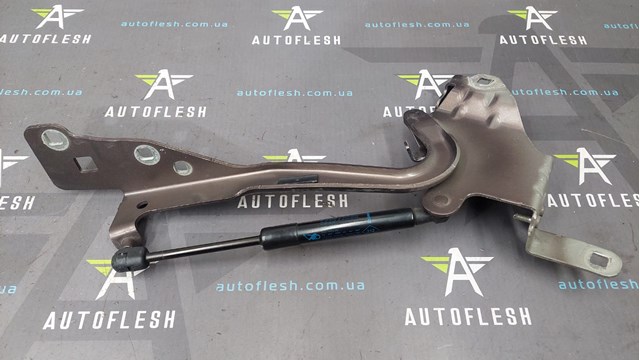 654006104R Петля капота правая купить Тернополь