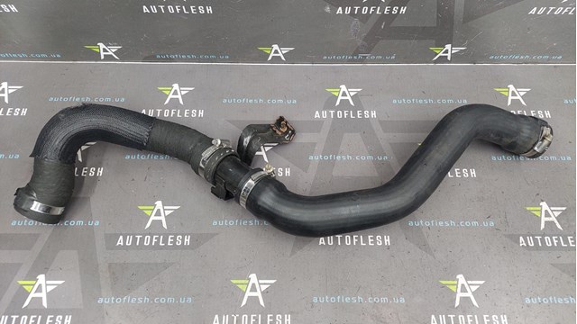 8200252995 RENAULT купить в Кривой Рог