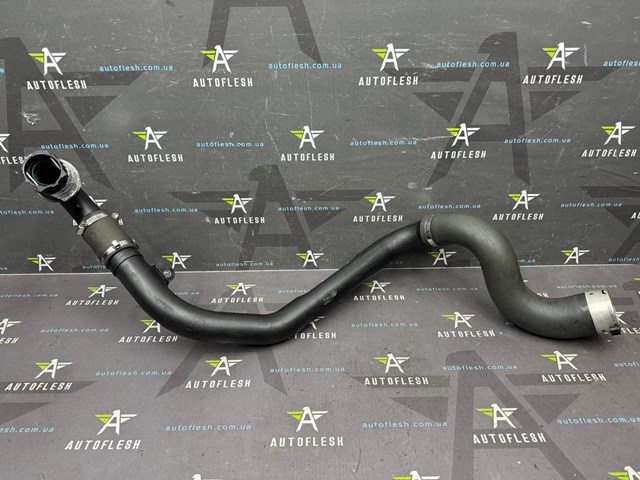 8200962920 RENAULT Патрубок интеркулера купить в Чернигов