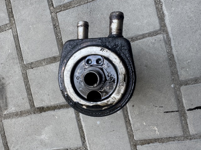 RENAULT 3743011 в наличии Павлоград