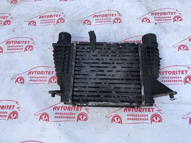RENAULT 8200170504 Интеркулер в наличии Днепр