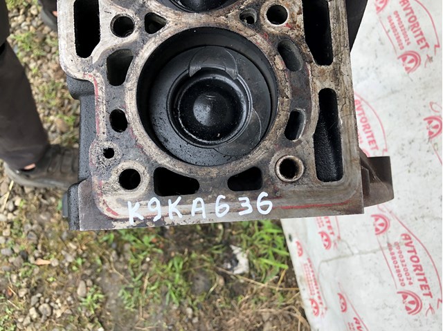 K9KA636 RENAULT купить в Кривой Рог