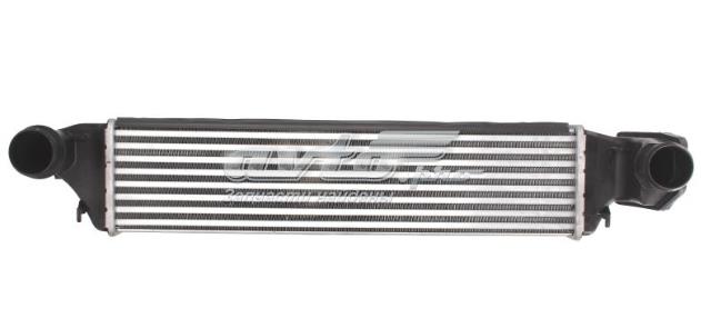 DAB004TT THERMOTEC Интеркулер купить в Днепр