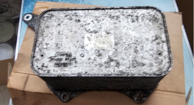 RENAULT 152081926R Корпус масляного фильтра в наличии Сумы