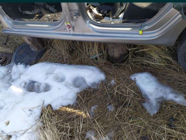 Левый внешний порог 3T9809605E VAG