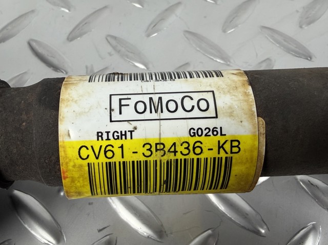 CV613B436KB купить Хмельницкий