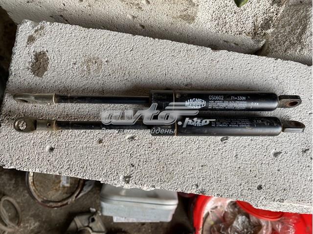 GS0602 MAGNETI MARELLI Амортизатор багажника купить в Житомир