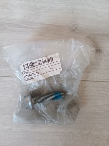 N10687202 VAG