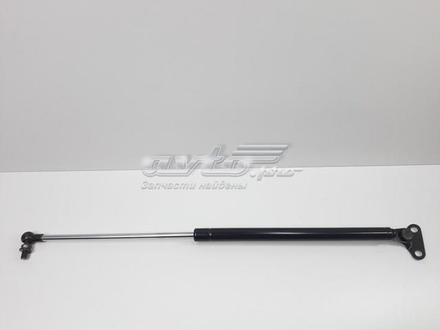 SENSEN 5345029053 Амортизатор багажника в наличии Харьков