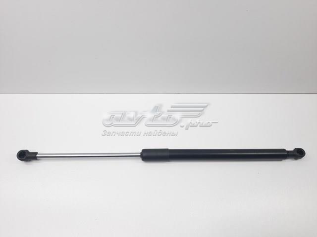 SENSEN 6896002071 Амортизатор багажника в наличии Ирпень