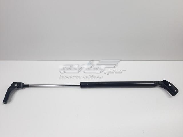 Газовый упор багажника C10062620D SENSEN