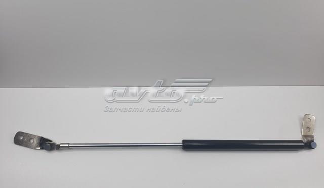 GE4T63620C Амортизатор багажника купить Черновцы