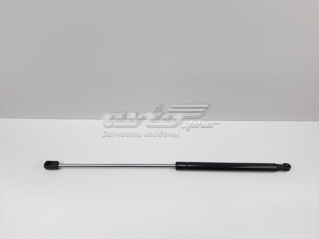 S534400W220 SENSEN Амортизатор капота купить в Харьков