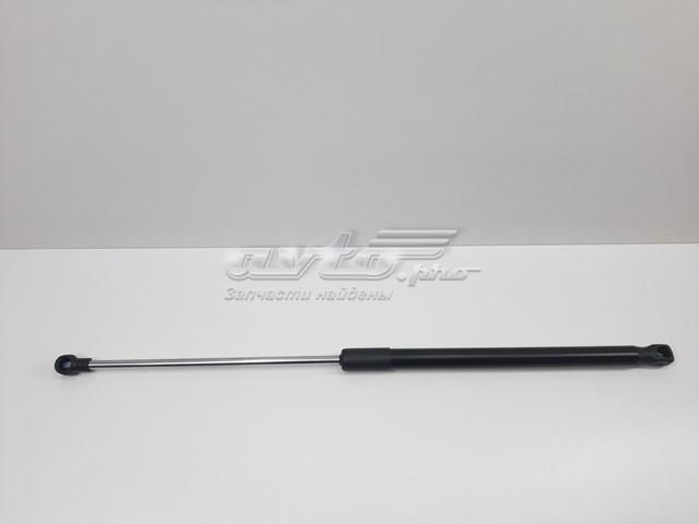 S534500W170 SENSEN Амортизатор капота купить в Павлоград
