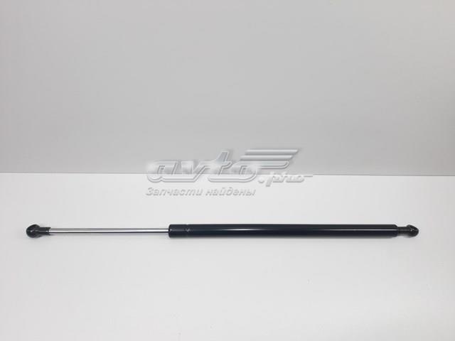 SENSEN S57251AJ010 Амортизатор капота левый в наличии Запорожье