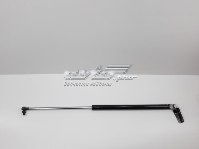 S60315FC211 SENSEN Амортизатор крышки багажника (двери 3/5-й задней) купить в Хмельницкий