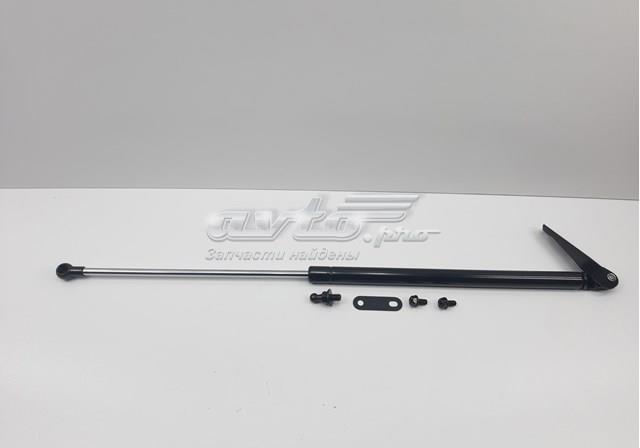 S63269AG001 SENSEN Амортизатор крышки багажника (двери 3/5-й задней) купить в Украина