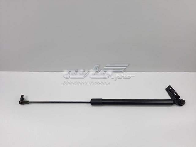 S63269SA000 SENSEN Амортизатор багажника купить в Чернигов