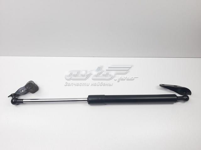 SENSEN S6895044070 Амортизатор багажника в наличии Ирпень