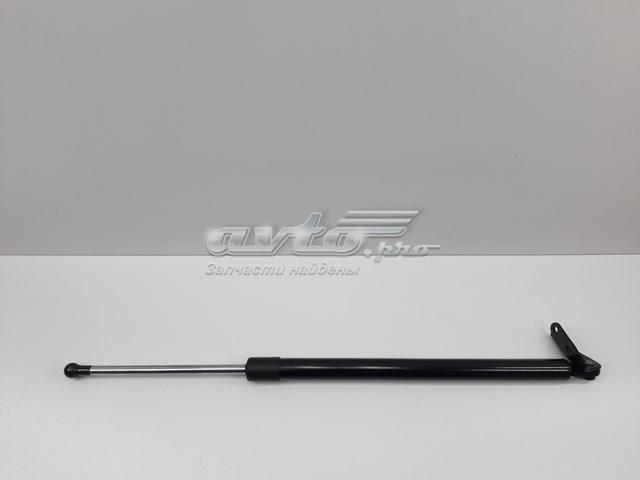 SENSEN SEG2162620C Амортизатор багажника в наличии Киев