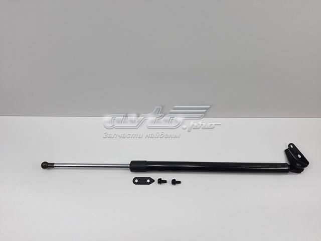 SENSEN SEG2163620C Амортизатор багажника в наличии Николаев