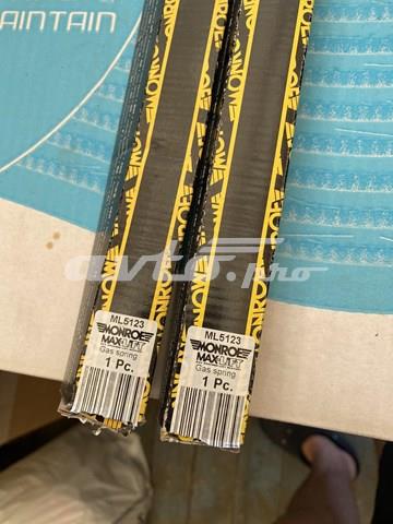 MONROE ML5123 Амортизатор багажника в наличии Николаев