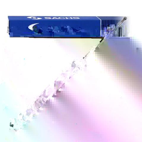 170428 SACHS Амортизатор задний купить в Тернополь