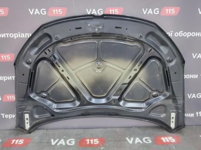 VAG 3C8823031D Капот в наличии Днепр