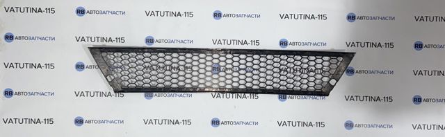 Решетка переднего бампера, центральная 6L68536679B9 VAG