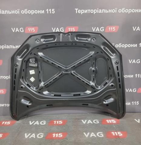 FP7439280 Капот купить Сумы