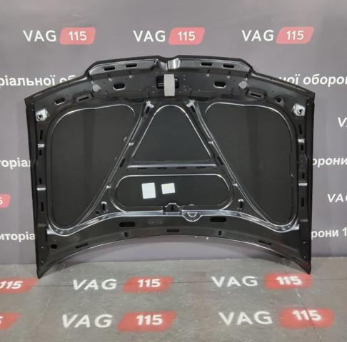 FP9543280 Капот купить Сумы