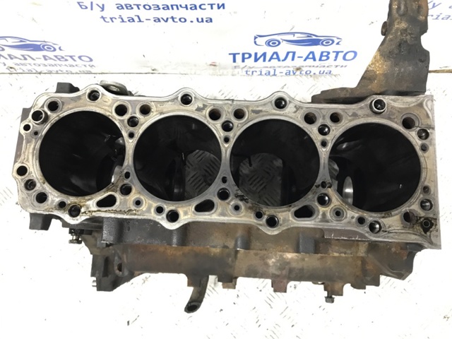 1000A670 Двигатель купить Черкассы